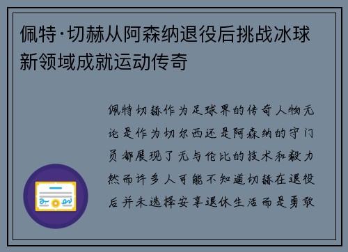 佩特·切赫从阿森纳退役后挑战冰球新领域成就运动传奇 佩特·切赫从阿森纳退役后挑战冰球新领域成就运动传奇